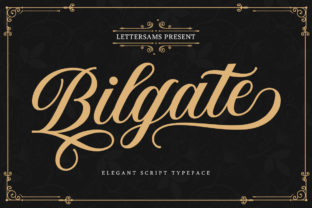 Bilgate: An Elegant Handwritten Font for Crafters