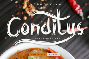 Conditus: A Charming Script Font for Modern Web Design