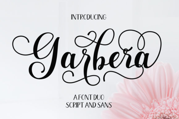 Garbera Duo: A Designer's Real-World Review