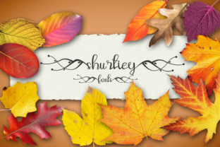 Shurtiey: The Elegant Script Font for Your Brand